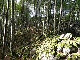 Voltetes per Navarra. Pirineus occidentals