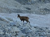 La travessa dels Pirineus per la A.R.P.