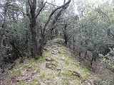 Volteta a la serra Bestraca