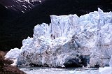 Patagonia668