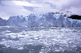 Patagonia700
