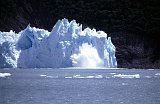 Patagonia736