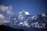 Everest95  (275)