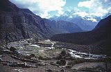 Everest95  (449)