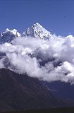 Everest95  (455)