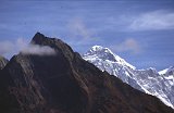 Everest95  (478)