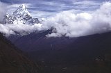 Everest95  (489)