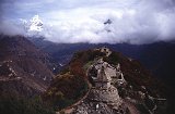 Everest95  (491)