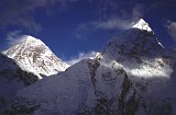 Everest95  (689)