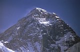 Everest95  (752)