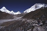 Everest95  (785)