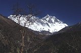 Everest95  (846)