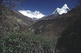 Everest95  (847)