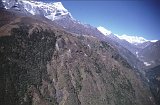 Everest95  (911)