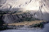 Pakistan-146