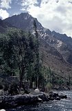 Pakistan-58