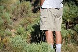 IMG 2349