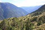 IMG 2598