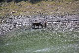 IMG 2599