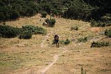 IMG 2627