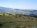 La Travessa del Pirineu pel GR-11