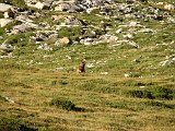 La Travessa del Pirineu pel GR-11