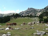 La Travessa del Pirineu pel GR-11