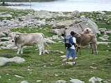 La Travessa del Pirineu pel GR-11