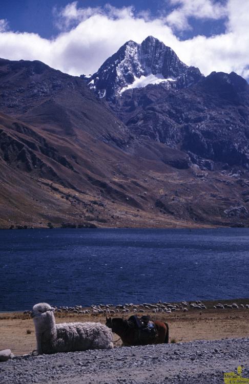 Peru 0191