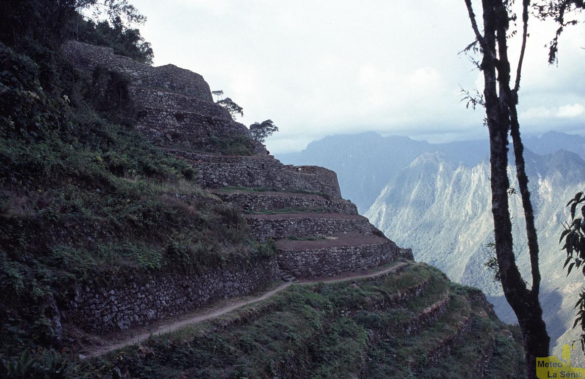 Peru 0597