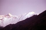Nepal362