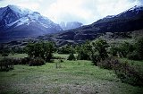Patagonia614