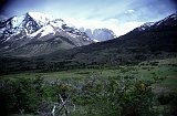 Patagonia638