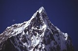Everest95  (631)