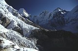 Everest95  (714)