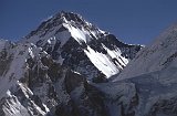 Everest95  (730)