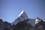 Everest95  (755)